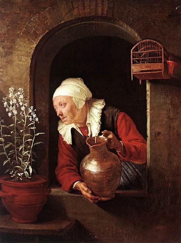 DOU, Gerrit Old Woman Watering Flowers sd
